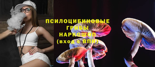 хмурый Верея