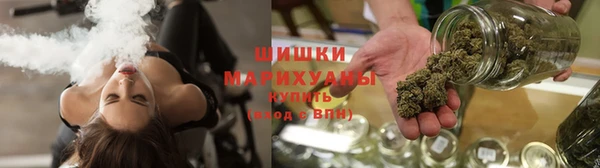 хмурый Верея