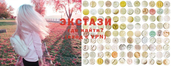 хмурый Тайга
