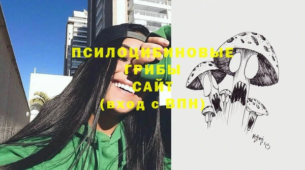 хмурый Верея