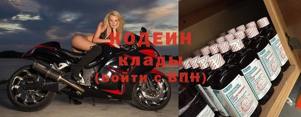 хмурый Верея